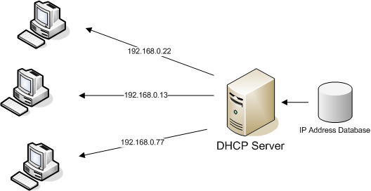 DHCP Option